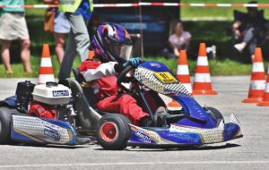 kierowca 300x190